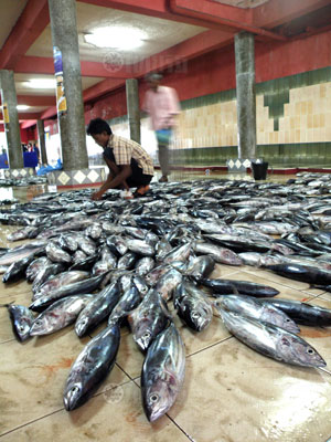 มัลดีฟส์