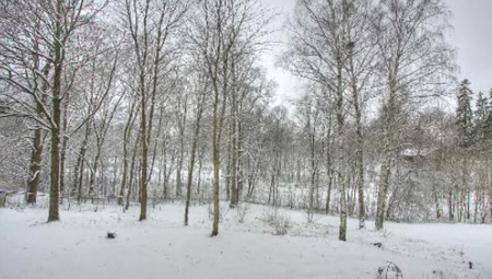 seasons change