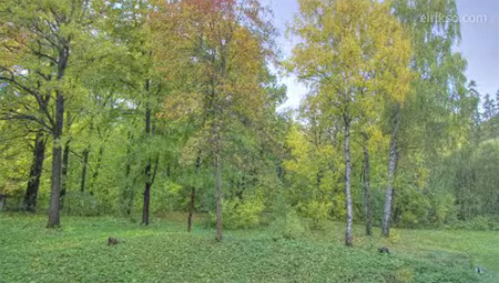 seasons change