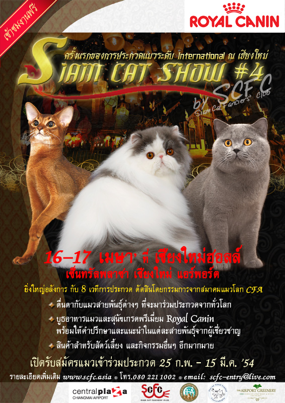Royal Canin Siam Cat Show #4