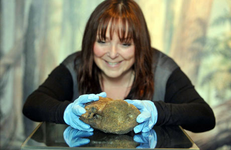 ตะลึงงัน! ชาวอังกฤษพบกระดูกไดโนเสาร์ 115 ล้านปี