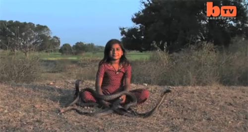 เด็กหญิงอินเดียใช้ชีวิตอยู่กับงูเห่า 6 ตัว
