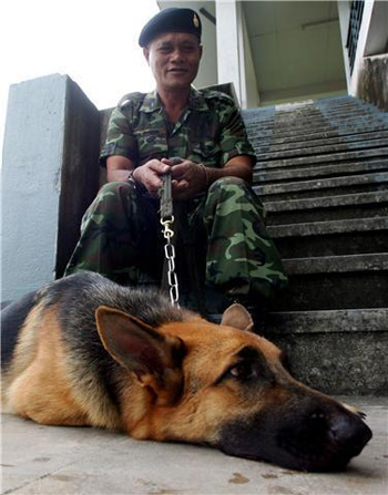 สุนัขทหาร