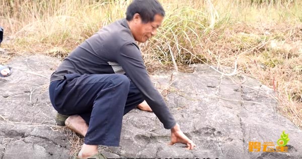 จีนพบรอยเท้ายักษ์ปริศนา ใหญ่กว่ามนุษย์ 2 เท่า เชื่อเป็นบิ๊กฟุตในตำนาน