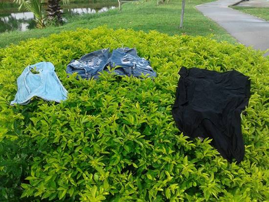 สังคมเสื่อม...ชาวอุดรแฉภาพเสื้อผ้า-ถุงยางใช้แล้ว วางทิ้งในสวนสาธารณะ