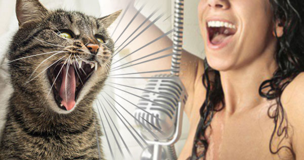 สาวถูกศาลสั่งห้ามร้องเพลงในบ้าน เหตุเพื่อนบ้านฟ้อง เสียงเหมือนแมวจมน้ำ !!