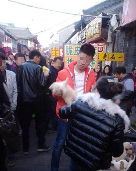 หนุ่มจีนทุ่มลูกหมา 5 ตัวดับกลางตลาด โมโหโดนงับมือ