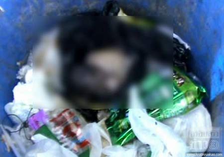 พบศพทารกถูกแม่ใจร้ายทิ้งถังขยะกลางเมืองชล