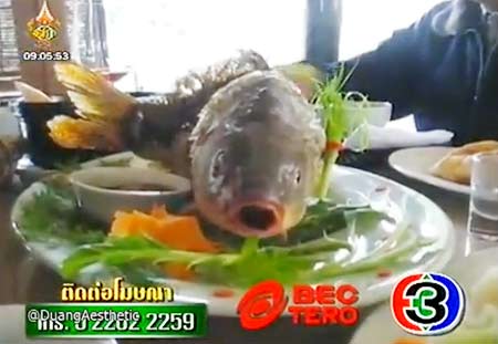 เวียดนามจวกเละร้านอาหารทอดปลาครึ่งเป็นครึ่งตาย