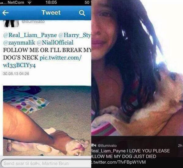 หยอกแรง ! แฟนคลับ One Direction หักคอหมา หลังบอยแบนด์ไม่ฟอลโลวทวิตเตอร์ 
