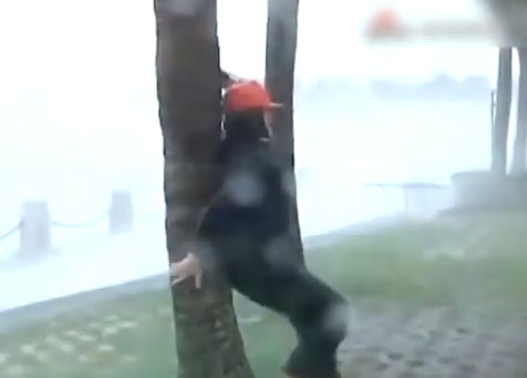 คลิปนักข่าวจีนผูกตัวเองกับต้นไม้ รายงานข่าวกลางพายุ