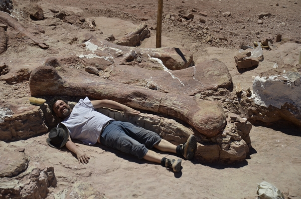 พบฟอสซิลไดโนเสาร์ในอาร์เจนตินา คาดเป็นพันธุ์ใหญ่ที่สุดในโลก 