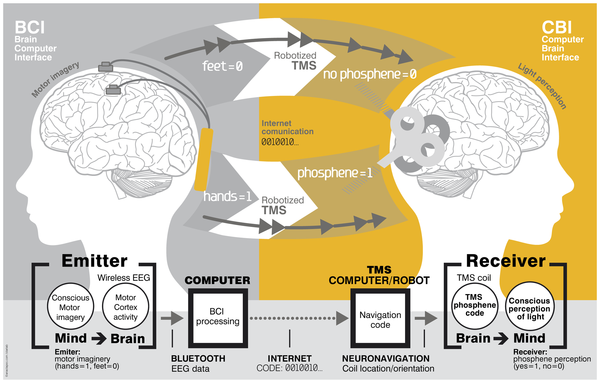  มนุษย์พบวิธีส่งสารแบบสมองถึงสมองโดยตรงแล้ว 