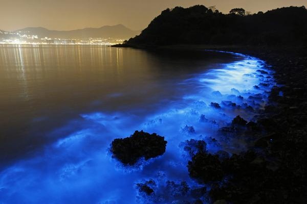 ทะเลเรืองแสงสีฟ้า รอบชายฝั่งฮ่องกง
