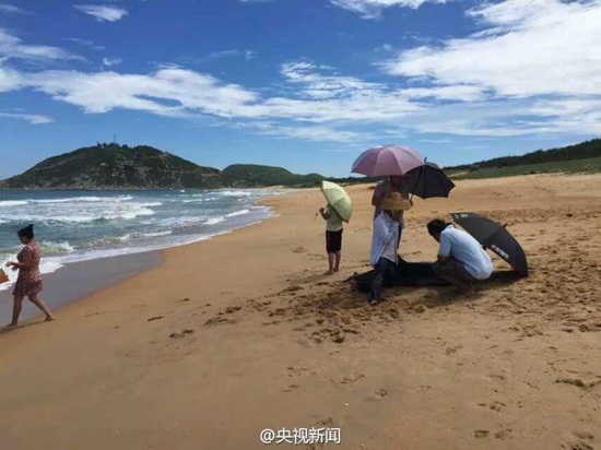 ชาวบ้านยืนกางร่มให้โลมาที่เกยหาด