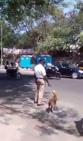 ตำรวจจราจรช่วยหยุดรถ ให้หมาจรจัดข้ามถนนอย่างปลอดภัย