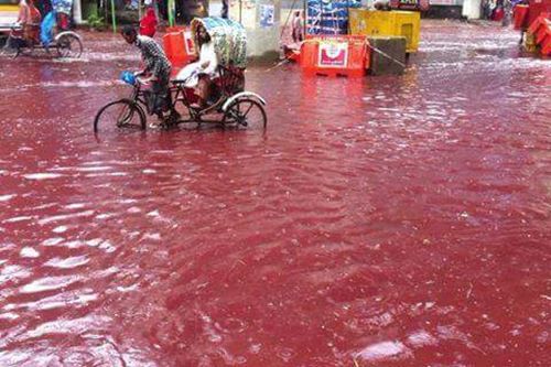 เทศกาล Eid ul Adha เชือดสัตว์ใหญ่บูชายัญ