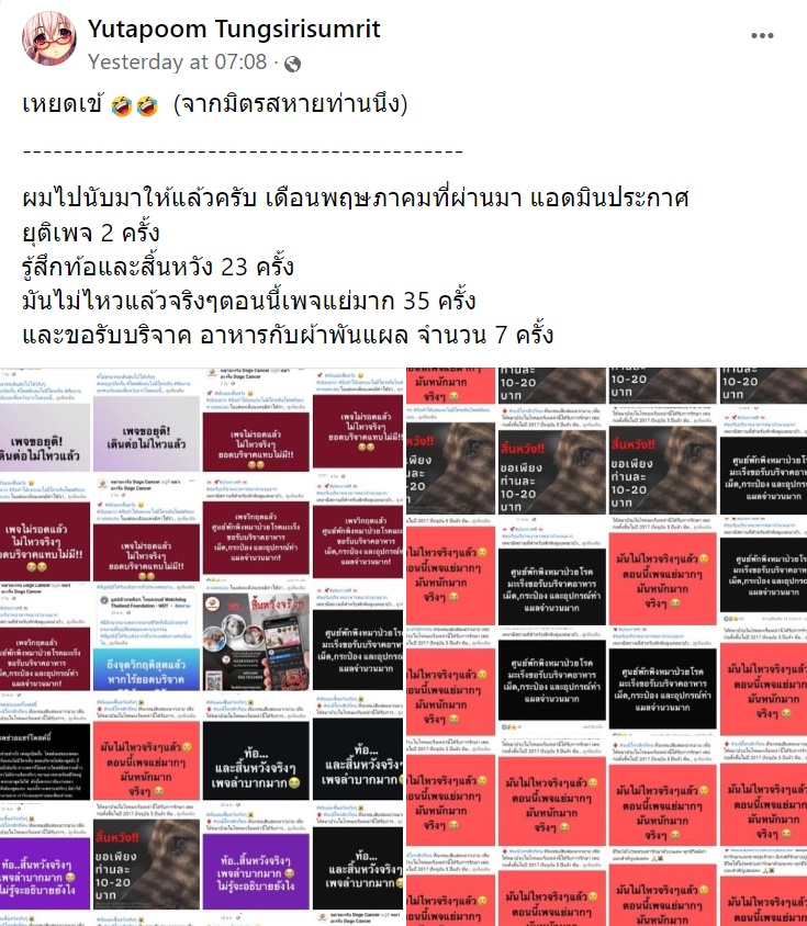 เพจช่วยเหลือหมา