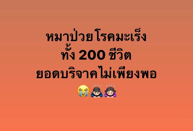 เพจช่วยเหลือหมา