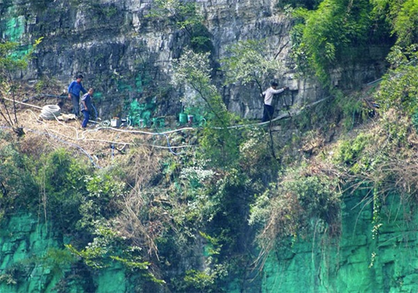 ชายคนนี้เชื่อว่าสีเขียวทำให้ฮวงจุ้ยดี ลงทุนทาสีหน้าผาสูง 900 เมตร