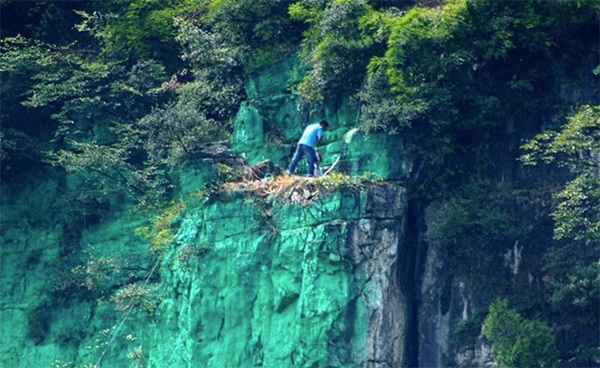  ชายคนนี้เชื่อว่าสีเขียวทำให้ฮวงจุ้ยดี ลงทุนทาสีหน้าผาสูง 900 เมตร