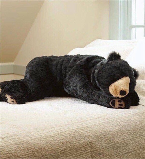ถุงนอนชุดหมี