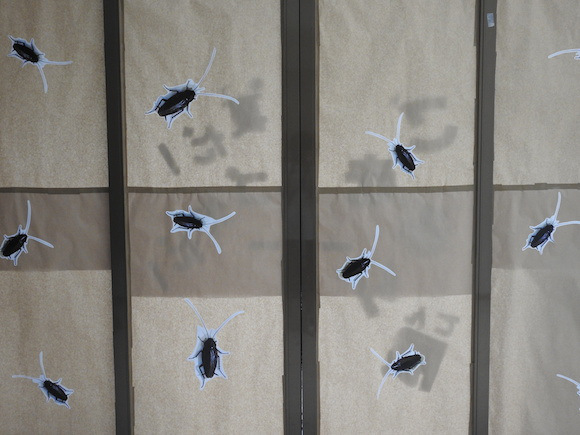 พาทัวร์นิทรรศการแมลงสาบที่ญี่ปุ่น