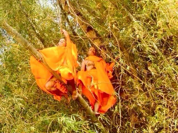 แชร์กันทั้งบาง ! ภาพหลวงพี่ติดบนต้นไผ่ เฉลยแล้วขึ้นไปทำอะไร แชร์กันทั้งบาง ! ภาพหลวงพี่ติดบนต้นไผ่ เฉลยแล้วขึ้นไปทำอะไร