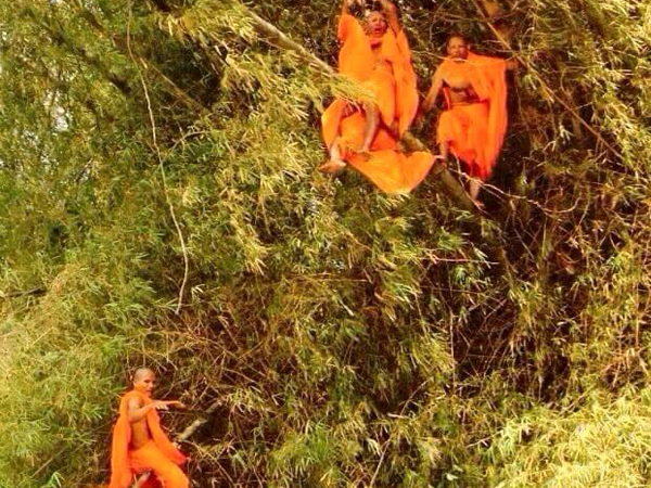 แชร์กันทั้งบาง ! ภาพหลวงพี่ติดบนต้นไผ่ เฉลยแล้วขึ้นไปทำอะไร แชร์กันทั้งบาง ! ภาพหลวงพี่ติดบนต้นไผ่ เฉลยแล้วขึ้นไปทำอะไร