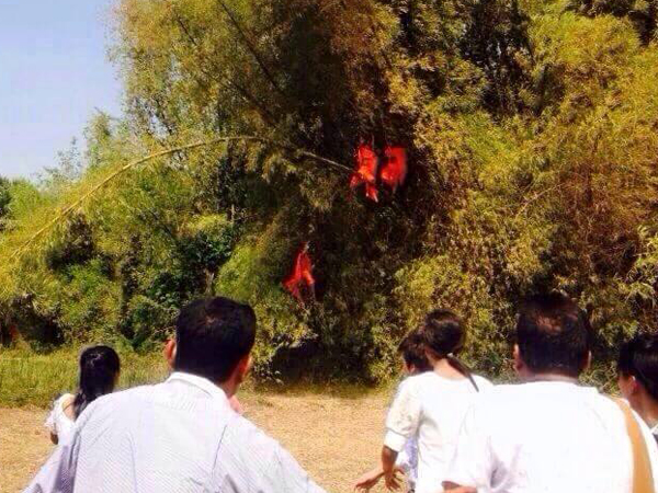 แชร์กันทั้งบาง ! ภาพหลวงพี่ติดบนต้นไผ่ เฉลยแล้วขึ้นไปทำอะไร แชร์กันทั้งบาง ! ภาพหลวงพี่ติดบนต้นไผ่ เฉลยแล้วขึ้นไปทำอะไร