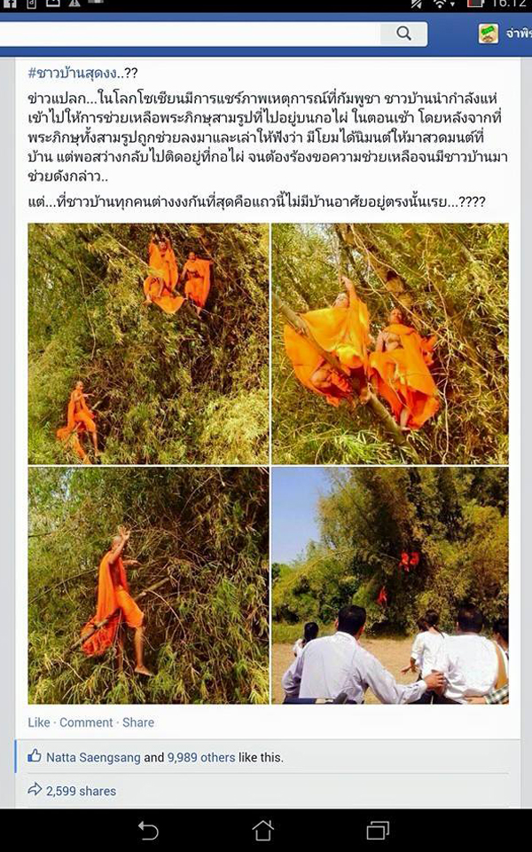 แชร์กันทั้งบาง ! ภาพหลวงพี่ติดบนต้นไผ่ เฉลยแล้วขึ้นไปทำอะไร แชร์กันทั้งบาง ! ภาพหลวงพี่ติดบนต้นไผ่ เฉลยแล้วขึ้นไปทำอะไรแชร์กันทั้งบาง ! ภาพหลวงพี่ติดบนต้นไผ่ เฉลยแล้วขึ้นไปทำอะไร