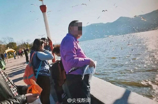 นักท่องเที่ยวจีนเขวี้ยงนกนางนวลลงพื้นจนปีกหัก