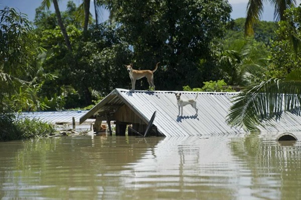 น้ำท่วมพม่า
