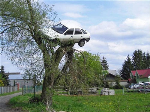 เพื่อนบ้านฉุนหนุ่มโปแลนด์ขับรถก่อกวน ยกรถขึ้นต้นไม้แก้เผ็ด