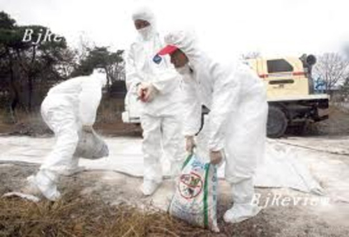 เกาหลีใต้ประกาศเขตภัยพิบัติ หลังสารเคมีรั่วไหล-เสียหายหนัก