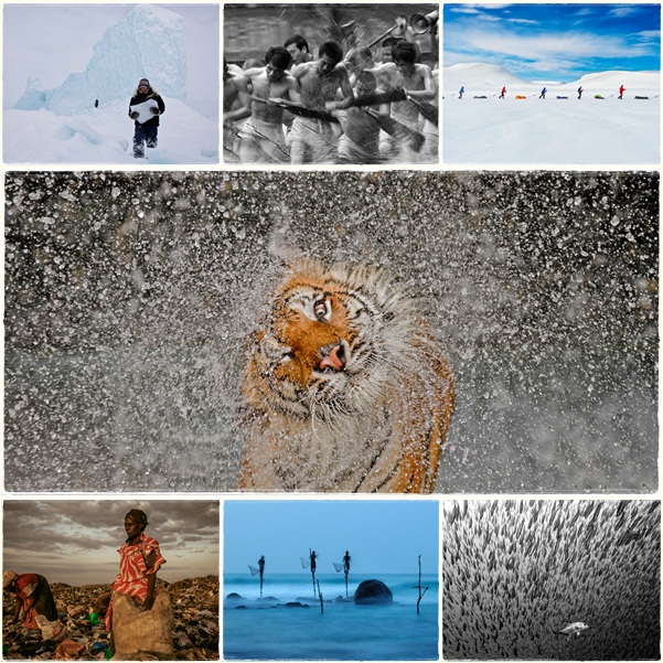 เว็บไซต์เนชันแนลจีโอกราฟฟิก ประกาศผล 14 สุดยอดภาพถ่ายประจำปี 2012 ซึ่งผลปรากฏว่า ภาพเสือไทยในสวนสัตว์เปิดเขาเขียว กำลังสะบัดน้ำ ได้รับรางวัลภาพถ่ายยอดเยี่ยม และรางวัลชนะเลิศภาพถ่ายธรรมชาติ จากฝีมือช่างภาพแอชลีย์ วินเซนต์