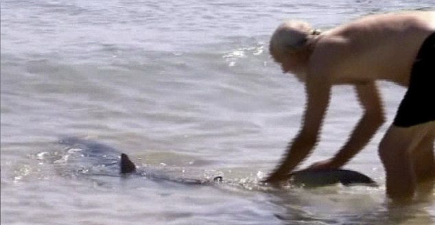 หนุ่มอังกฤษโดนไล่ออก หลังช่วยเด็กจากฉลามช่วงลาป่วย