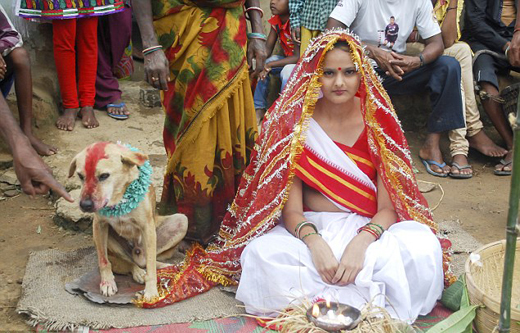 สาวอินเดียแต่งงานกับสุนัข เชื่อช่วยสะเดาะเคราะห์