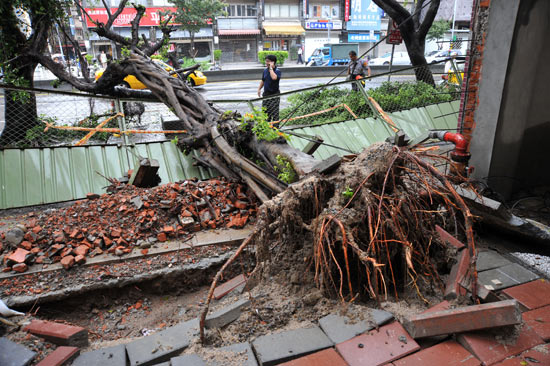พายุจ่ามี พัดถล่มไต้หวัน-จีน เกิดฝนตกหนัก-ดินถล่มหลายพื้นที่