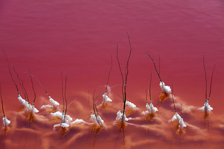 ทะเลสาบสีแดงสดในฝรั่งเศส