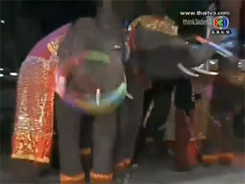 ตีสิบ ช้างไทย
