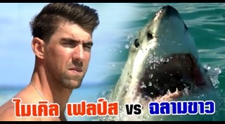 ฉลามขาว