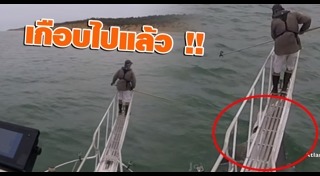 ฉลามขาว