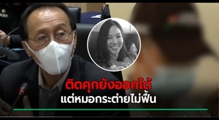 หมอกระต่าย