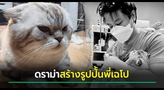 แมวเซเลบ