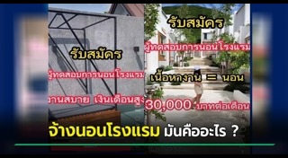 อาชีพแปลก