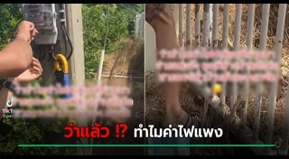 ขโมยไฟฟ้าใช้ฟรี