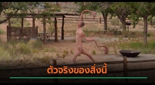 หุ่นไล่กา