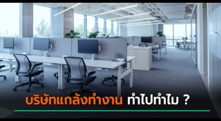 อาชีพแปลก