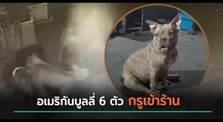 เลี้ยงสัตว์